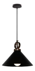 Lustre Noir et Ambre au style moderne avec conception fonctionnelle 60 W 3C-9438